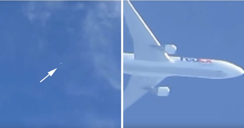 Le incredibili riprese fatte con lo zoom 200x