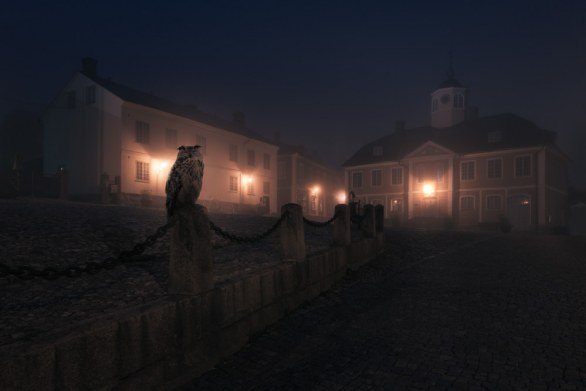Night Animals nella Finlandia di Mikko Lagerstedt