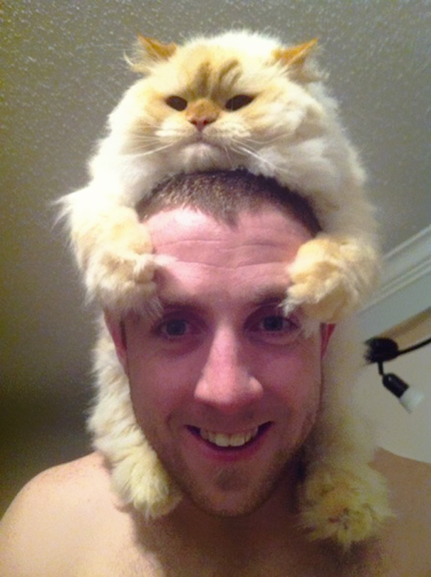 gatti indossati come cappelli