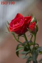 Le prove con la Canon EOS 1200D