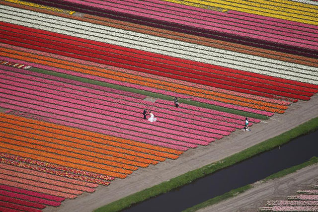 foto-sposi-olanda