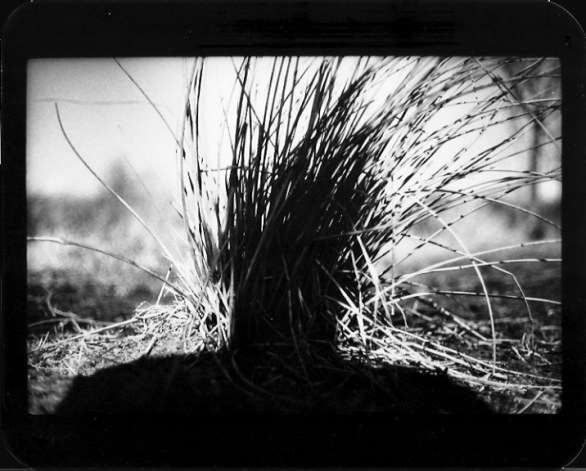 Untitled" (Ombra # 21), 2013, Londra, Regno Unito © Giacomo Brunelli