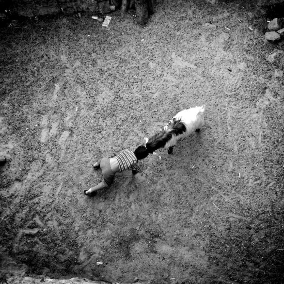 Ako Salemi, Iran, 3rd Mobile Phone 2015 © All rights reserved
