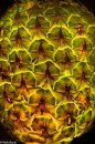 Pineapple - detail, The Light Inside © Radu Zaciu